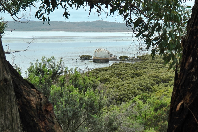 Mangrovensümpfe bei Millers Landing